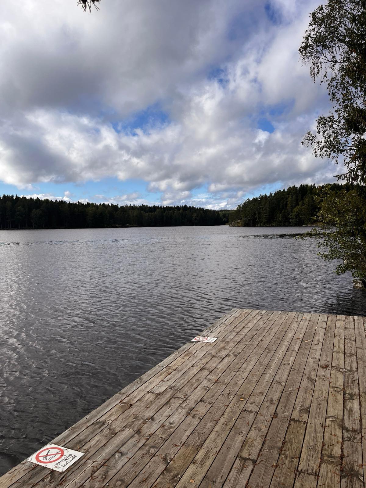 Badebrygge ved Langen
