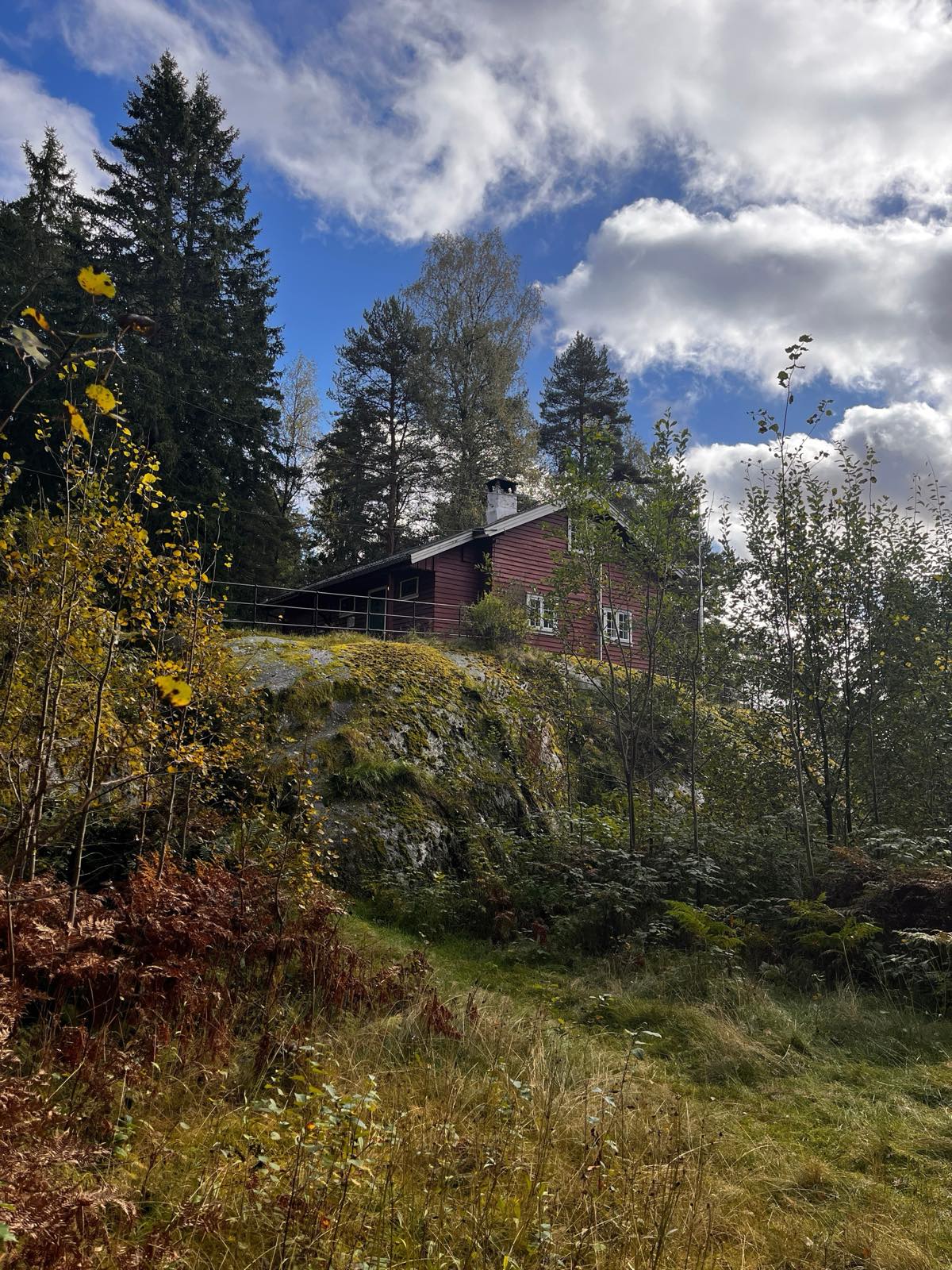 Hallvardbo nedenfra