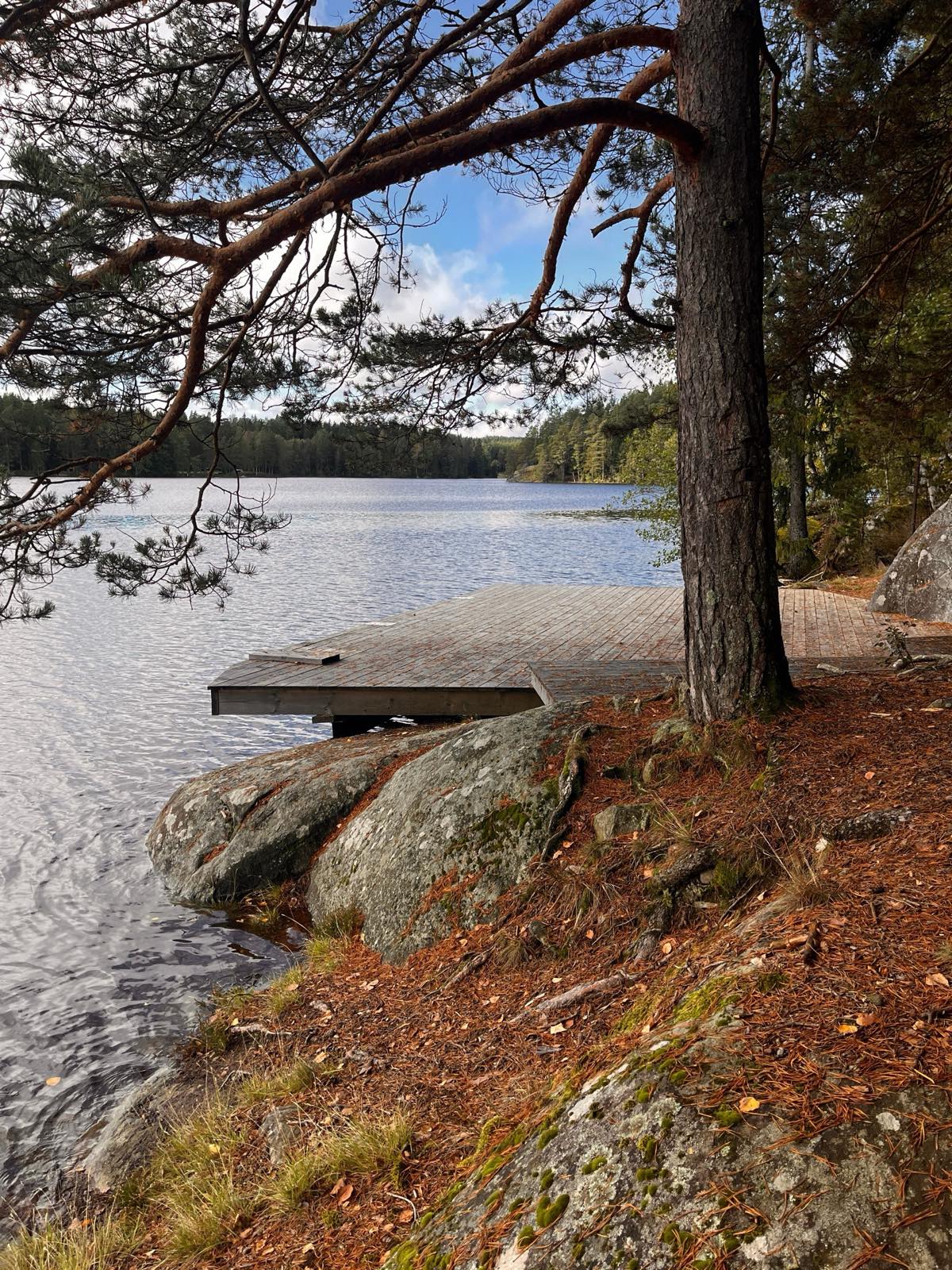 Ned mot brygga